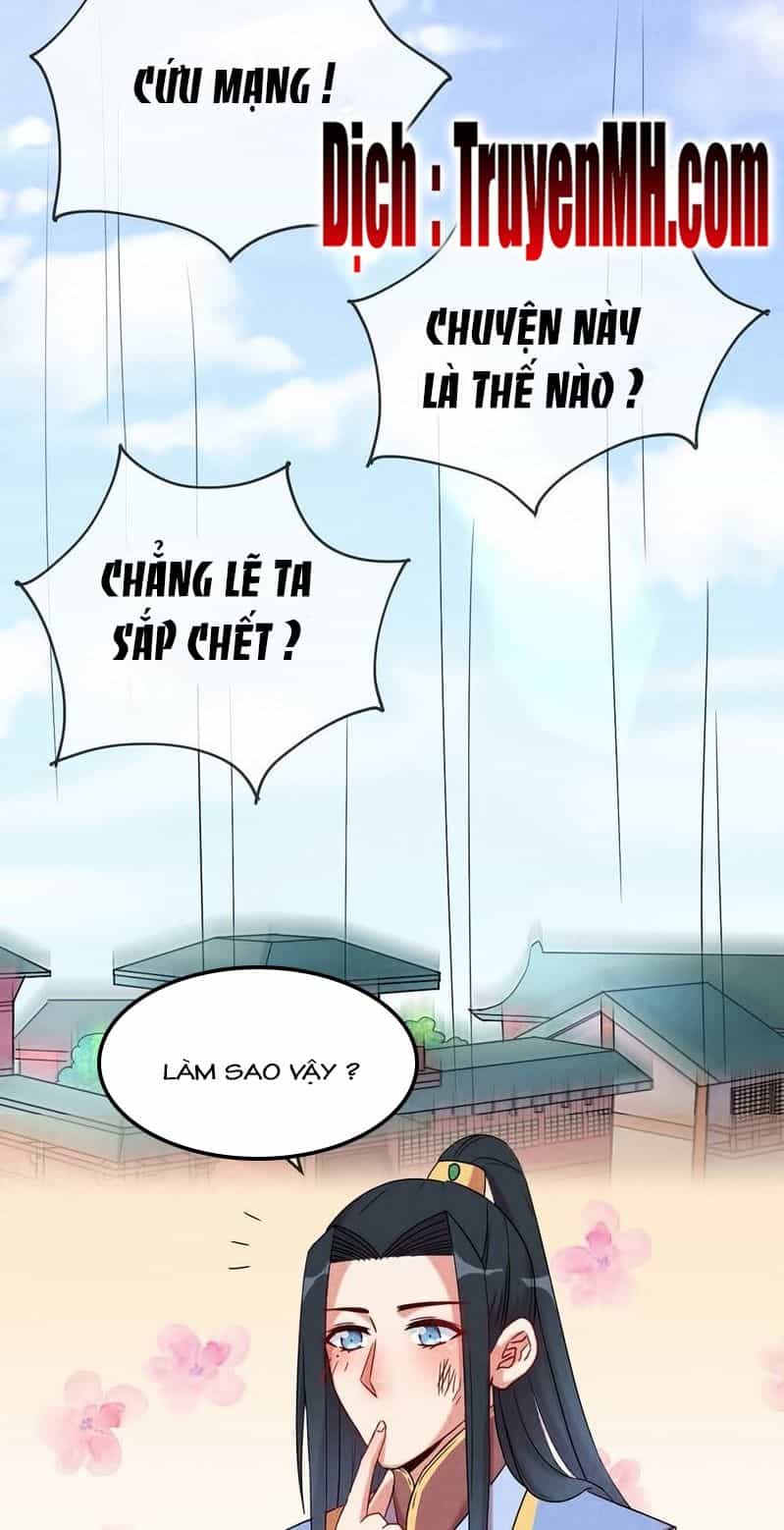 101 Mỹ Nam Của Vương Phi Béo Phì - Chương 13 - ảnh 3