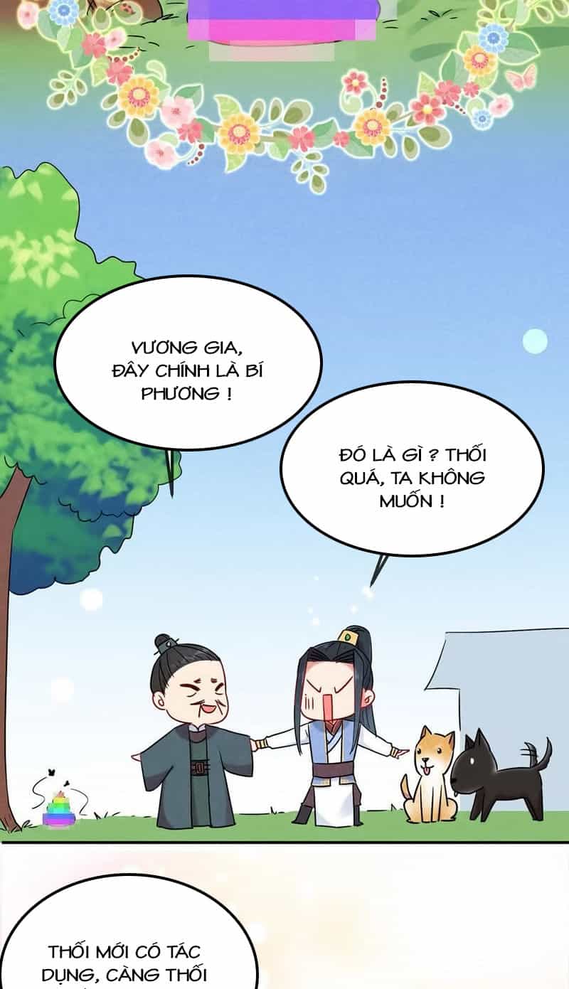 101 Mỹ Nam Của Vương Phi Béo Phì - Chương 17 - ảnh 5