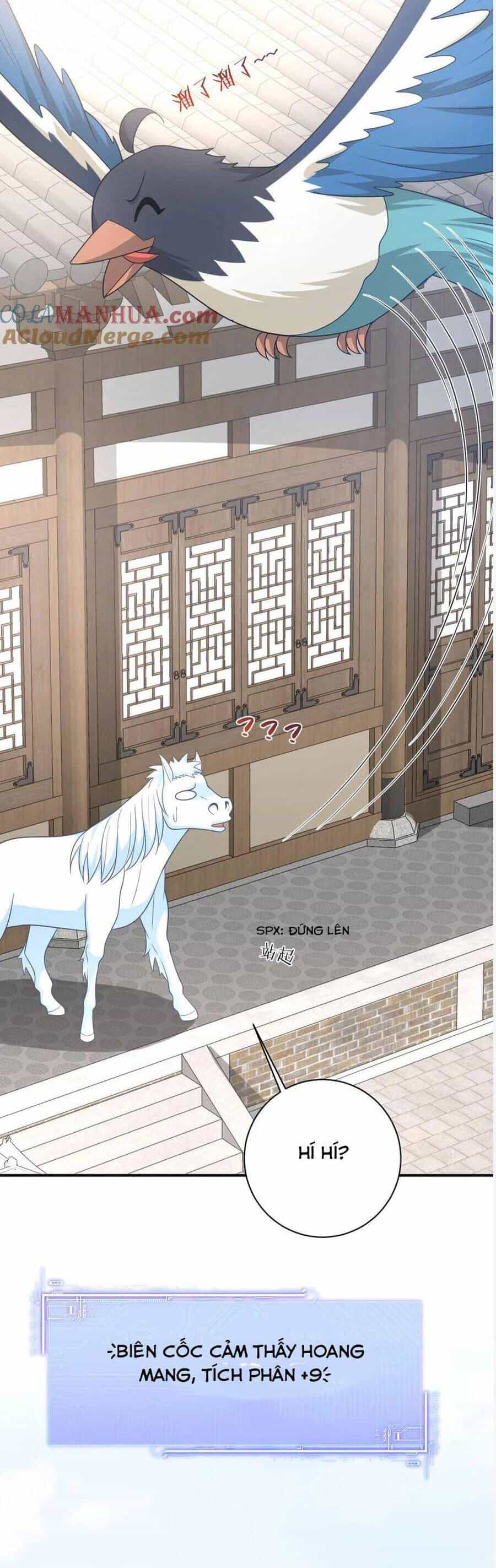 3 Kiếp Xui Xẻo, Kiếp Này Cùng Ta Thần Kinh - Chương 108 - ảnh 9