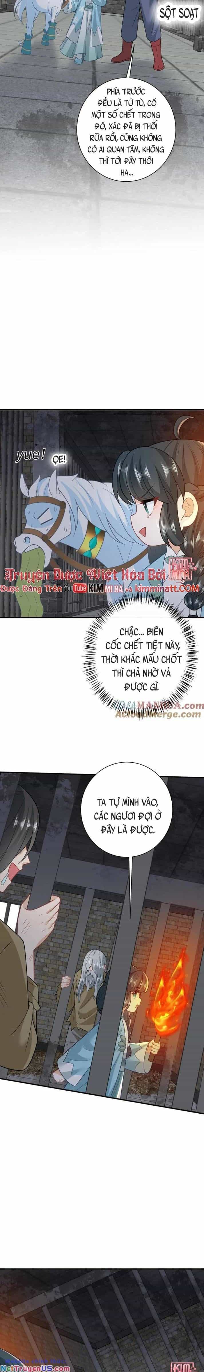 3 Kiếp Xui Xẻo, Kiếp Này Cùng Ta Thần Kinh - Chương 217 - ảnh 5