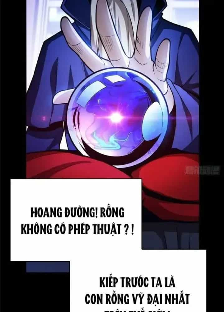 Ác Long Chuyển Sinh: Bắt Đầu Phục Thù Từ 5 Tuổi - Chương 2 - ảnh 63