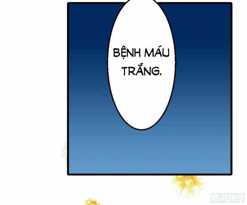 Ác Ma Chủ Tịch Xin Buông Tay - Chương 1 - ảnh 33