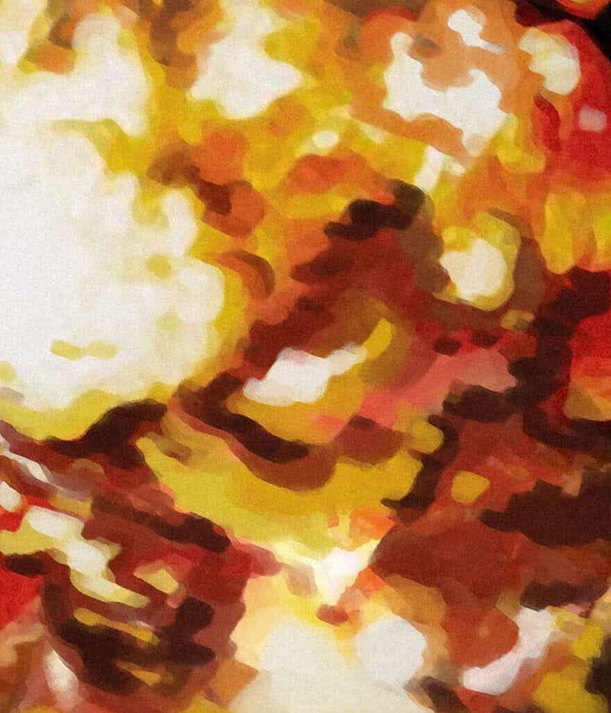 Ách Thế Quỹ Tích - Chương 2 - ảnh 87