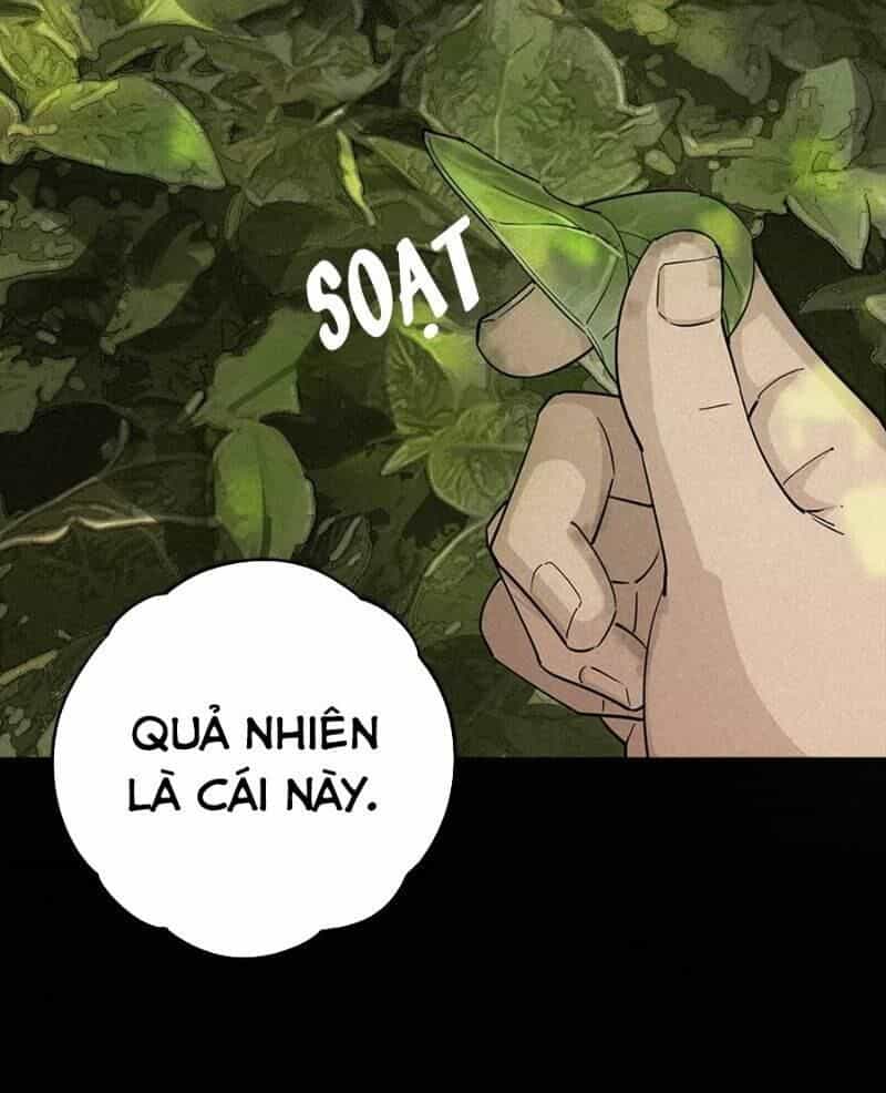 Ách Thế Quỹ Tích - Chương 36 - ảnh 6