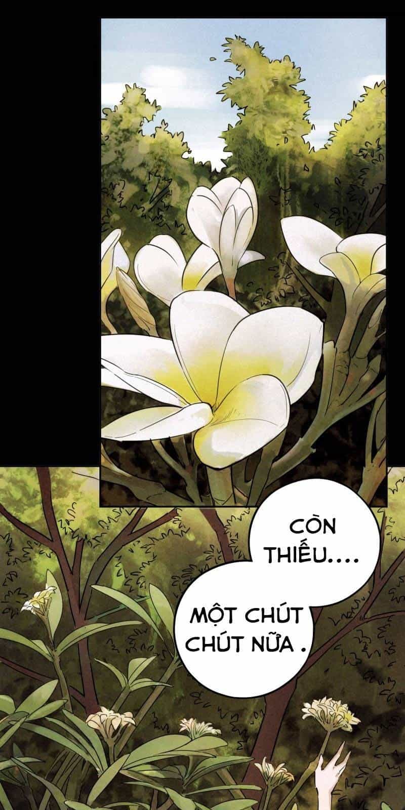 Ách Thế Quỹ Tích - Chương 48 - ảnh 49