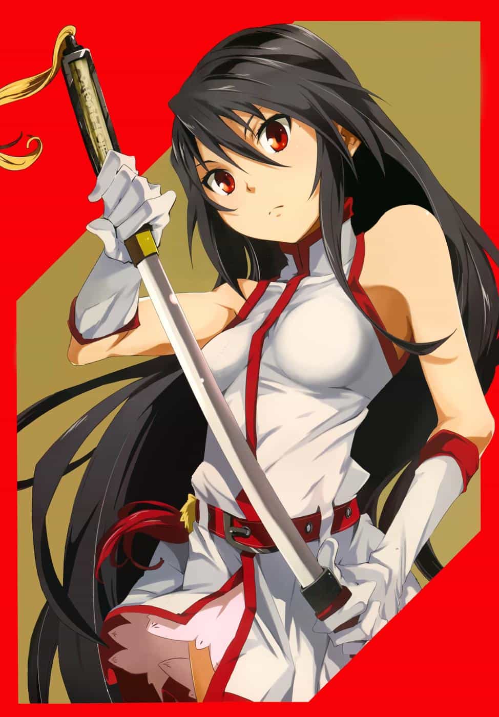Akame Ga Kill! Zero - Chương 1 - ảnh 2