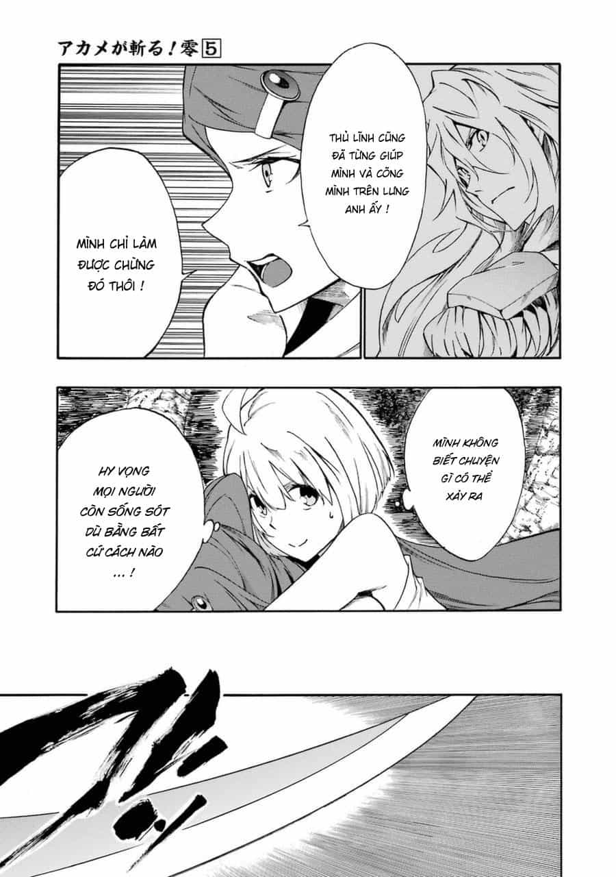 Akame Ga Kill! Zero - Chương 31 - ảnh 22
