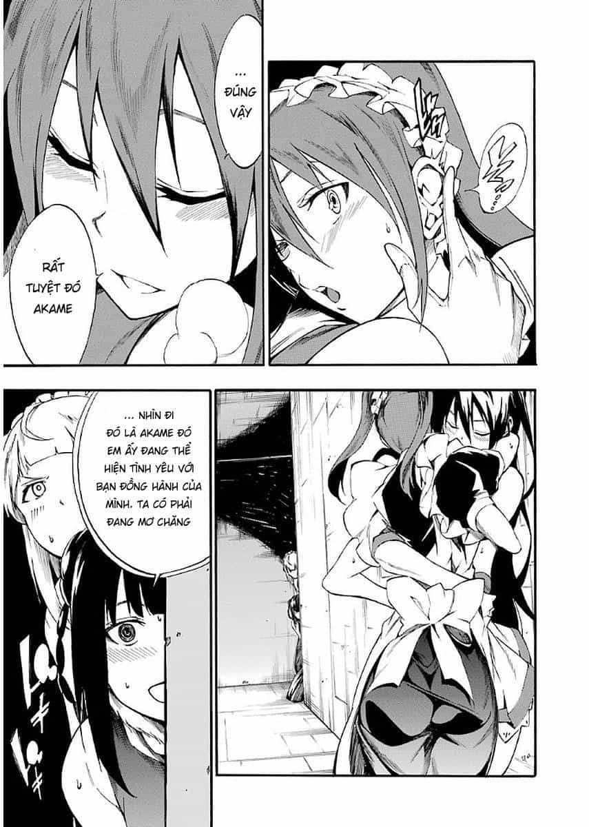 Akame Ga Kill! Zero - Chương 39 - ảnh 10