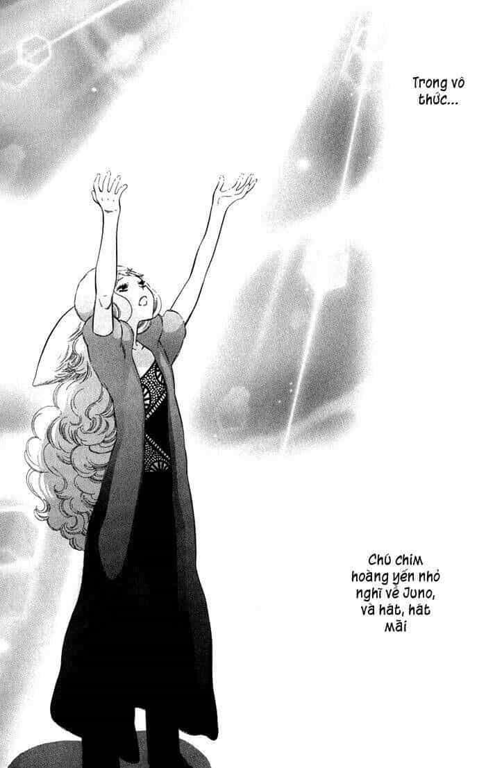 Alone In My King's Harem - Chương 4 - ảnh 20