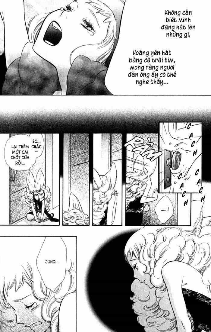 Alone In My King's Harem - Chương 4 - ảnh 21