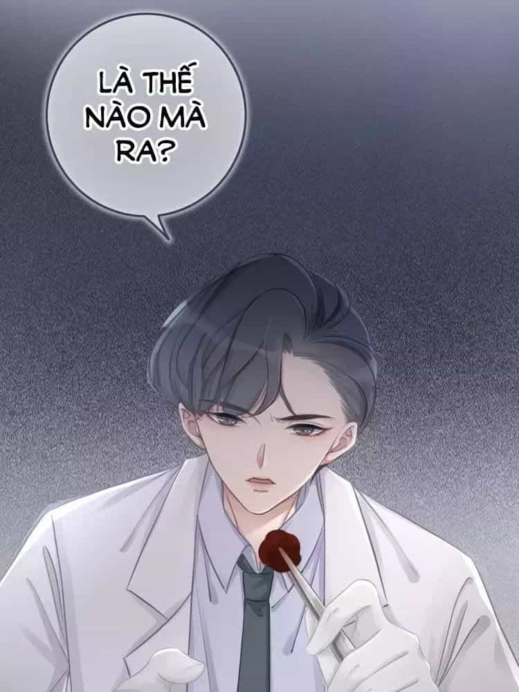 Ám Hắc Hệ Noãn Hôn - Chương 11 - ảnh 92