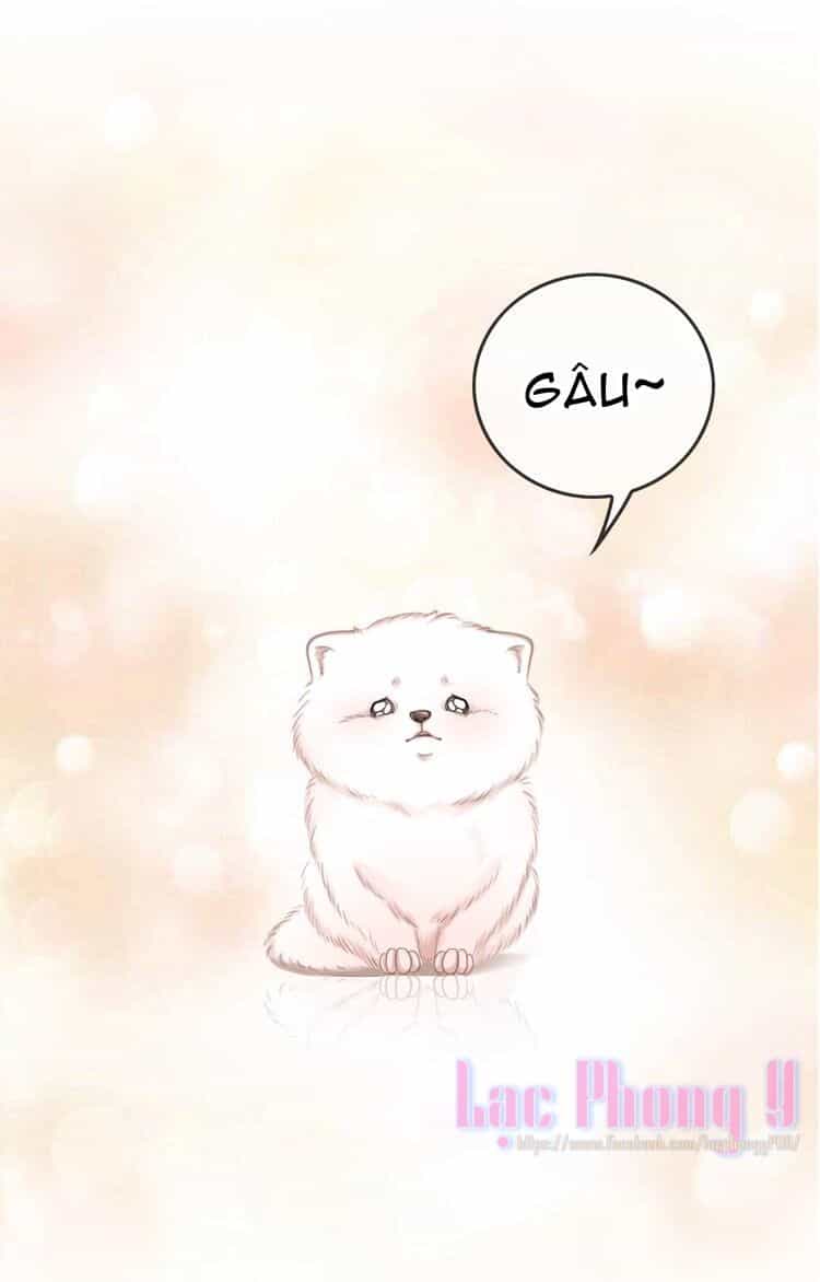 Ám Hắc Hệ Noãn Hôn - Chương 3 - ảnh 24