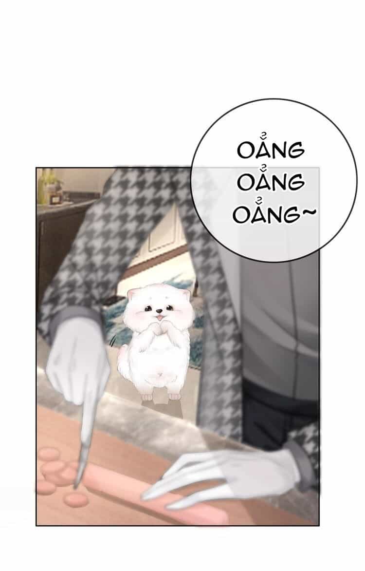 Ám Hắc Hệ Noãn Hôn - Chương 3 - ảnh 27