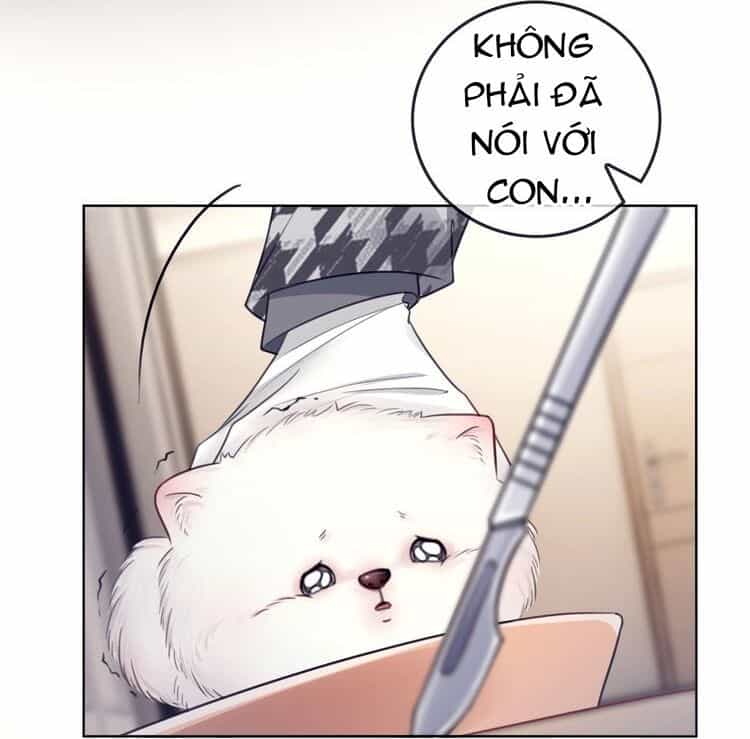 Ám Hắc Hệ Noãn Hôn - Chương 3 - ảnh 40