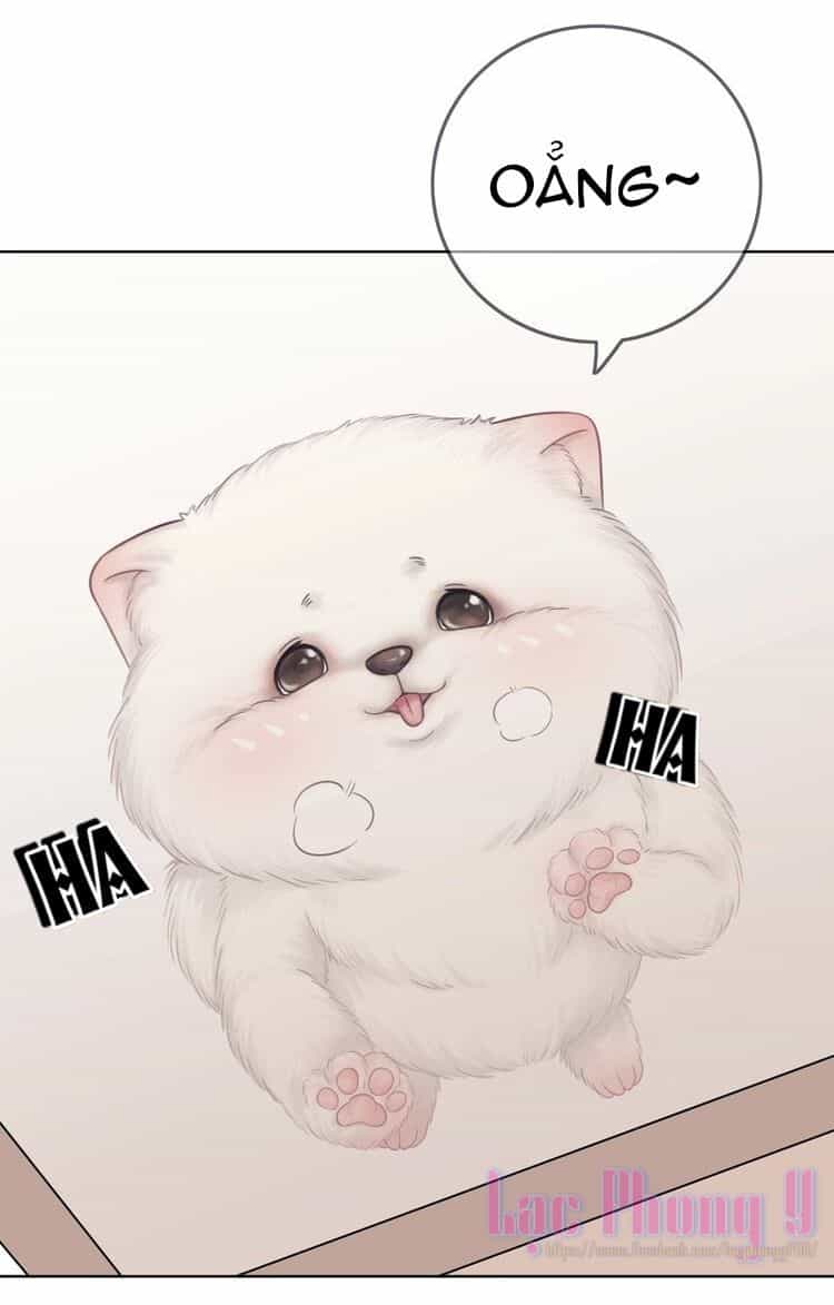 Ám Hắc Hệ Noãn Hôn - Chương 3 - ảnh 48