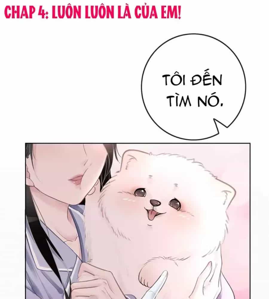 Ám Hắc Hệ Noãn Hôn - Chương 4 - ảnh 6