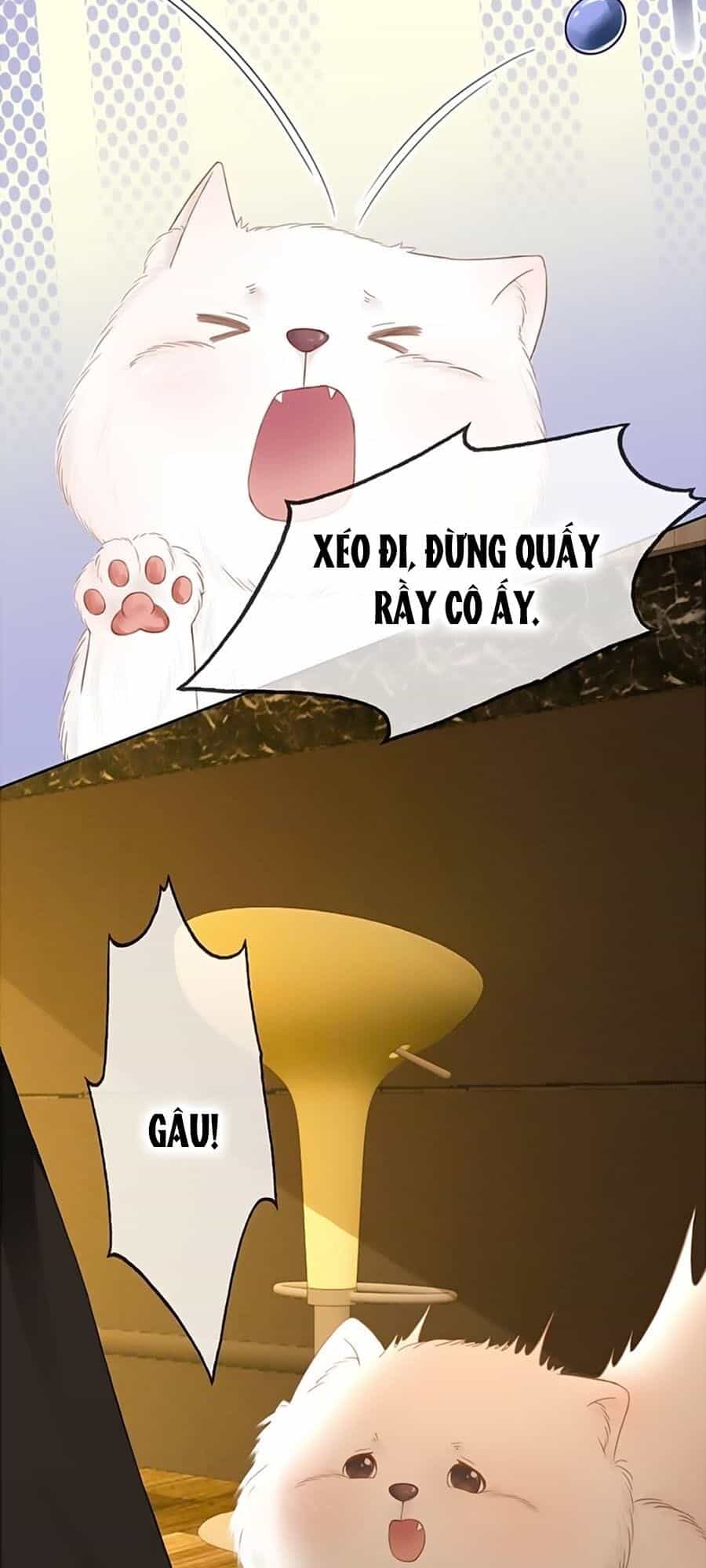 Ám Hắc Hệ Noãn Hôn - Chương 58 - ảnh 20