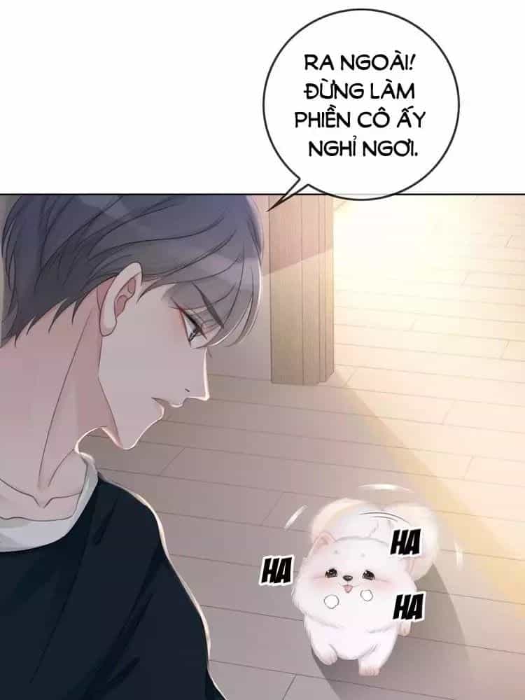 Ám Hắc Hệ Noãn Hôn - Chương 7 - ảnh 33