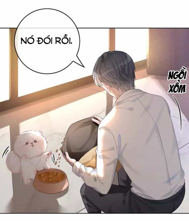Ám Hắc Hệ Noãn Hôn - Chương 9 - ảnh 28