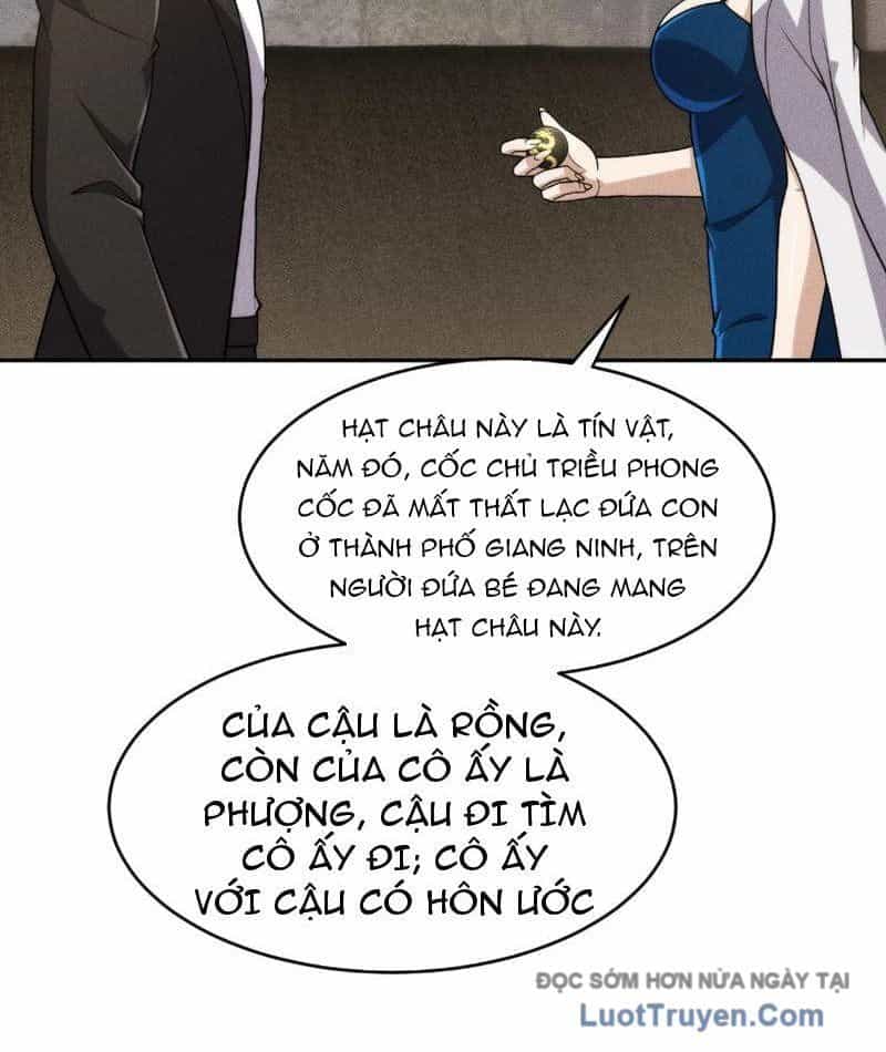 Ẩn Long Đô Thị - Chương 16 - ảnh 13