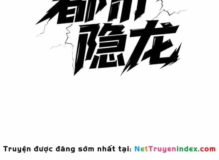 Ẩn Long Đô Thị - Chương 46 - ảnh 26
