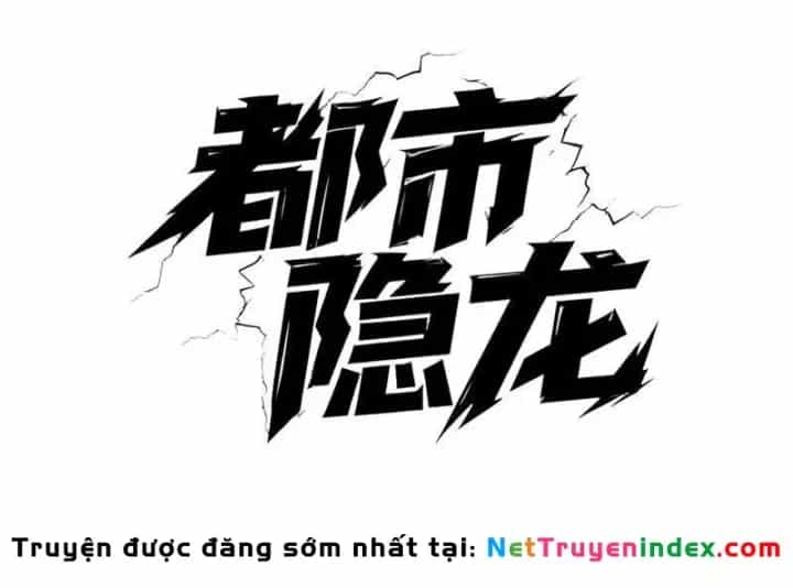 Ẩn Long Đô Thị - Chương 48 - ảnh 18