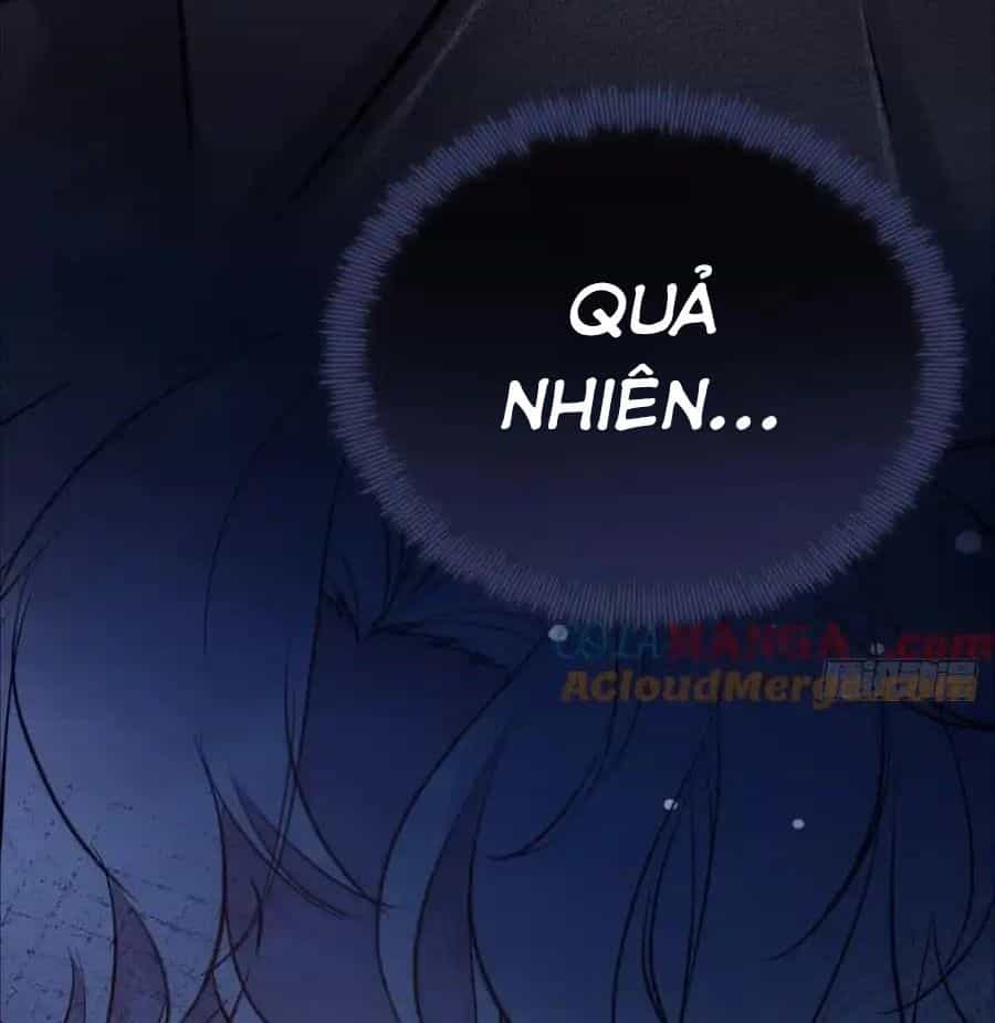 Anh Ấy Chưa Từng Sa Ngã - Chương 100 - ảnh 46