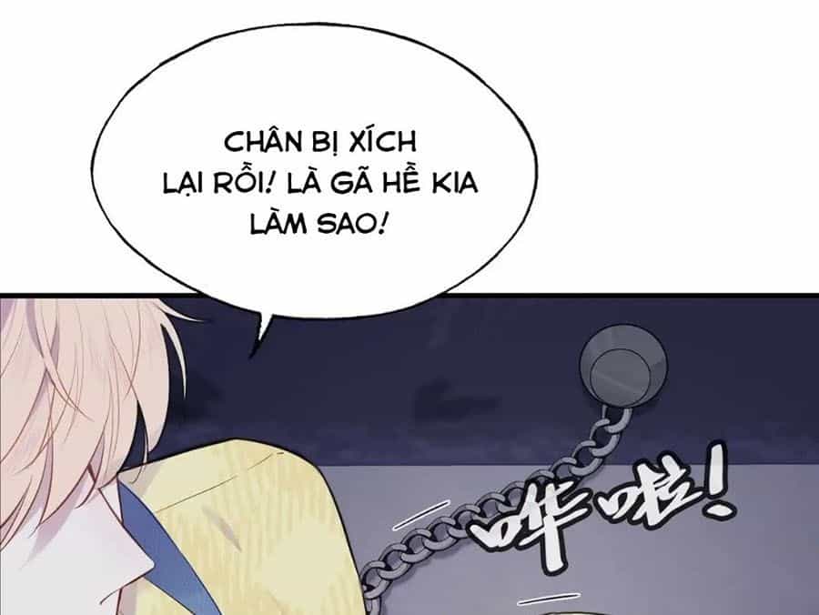 Anh Ấy Chưa Từng Sa Ngã - Chương 11 - ảnh 19