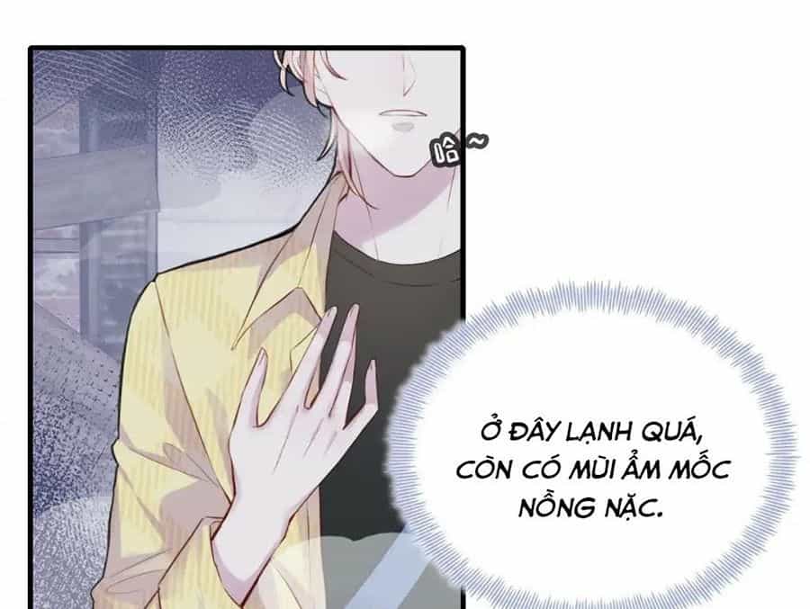 Anh Ấy Chưa Từng Sa Ngã - Chương 11 - ảnh 24
