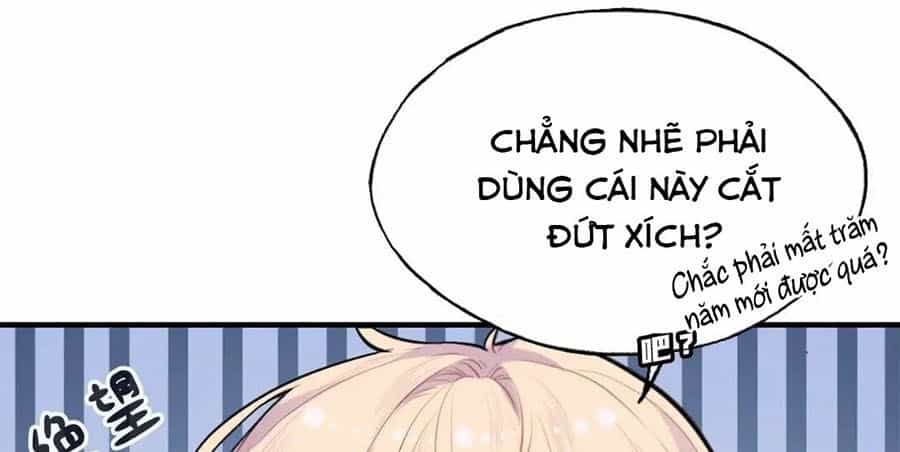 Anh Ấy Chưa Từng Sa Ngã - Chương 11 - ảnh 37