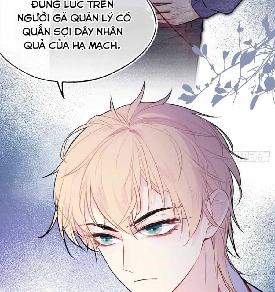 Anh Ấy Chưa Từng Sa Ngã - Chương 18 - ảnh 70