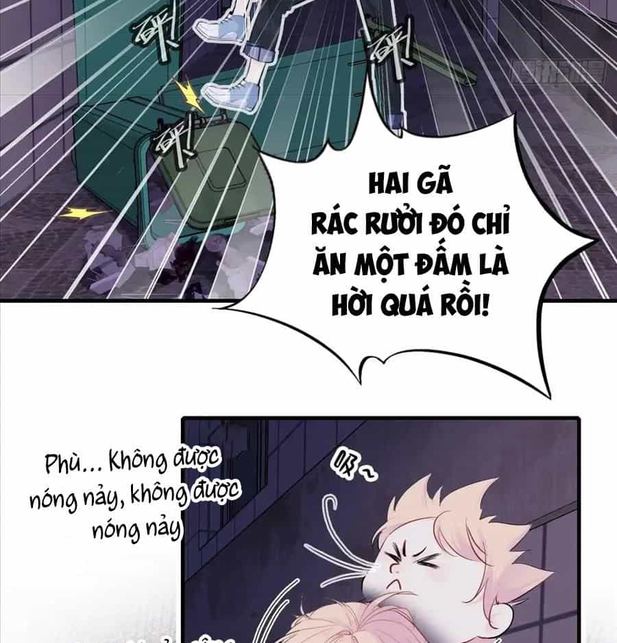 Anh Ấy Chưa Từng Sa Ngã - Chương 19 - ảnh 37