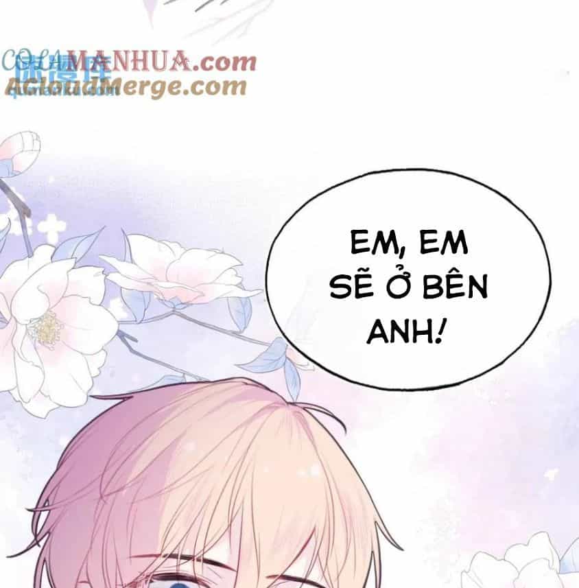 Anh Ấy Chưa Từng Sa Ngã - Chương 45 - ảnh 39