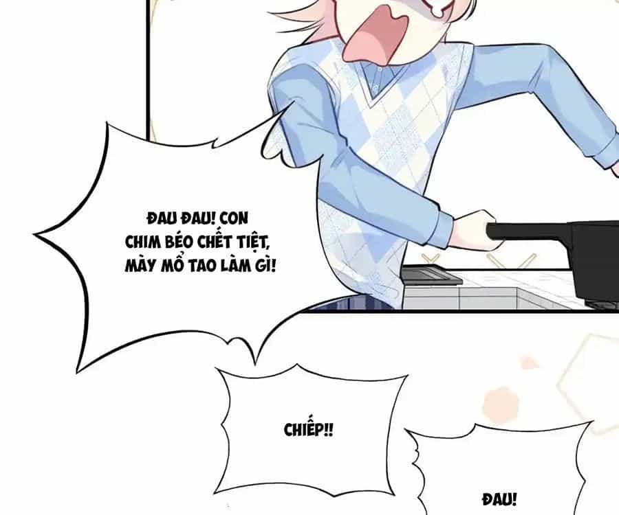 Anh Ấy Chưa Từng Sa Ngã - Chương 49 - ảnh 14