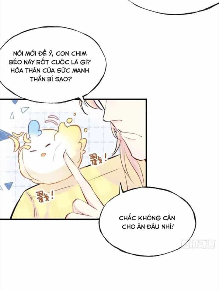 Anh Ấy Chưa Từng Sa Ngã - Chương 5 - ảnh 13