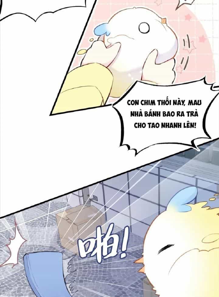 Anh Ấy Chưa Từng Sa Ngã - Chương 5 - ảnh 31
