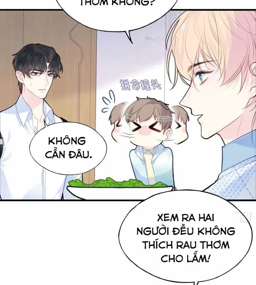 Anh Ấy Chưa Từng Sa Ngã - Chương 55 - ảnh 8