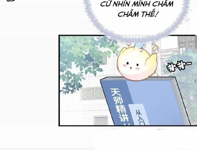 Anh Ấy Chưa Từng Sa Ngã - Chương 6 - ảnh 7