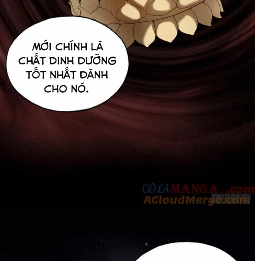 Anh Ấy Chưa Từng Sa Ngã - Chương 69 - ảnh 29