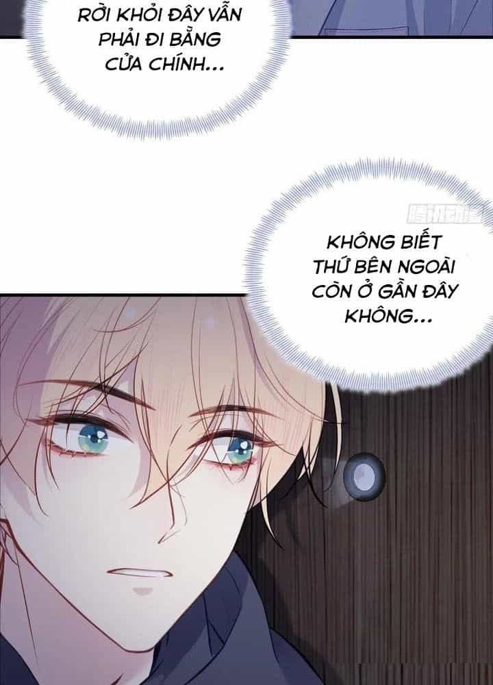 Anh Ấy Chưa Từng Sa Ngã - Chương 71 - ảnh 29