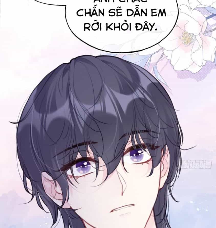 Anh Ấy Chưa Từng Sa Ngã - Chương 77 - ảnh 28