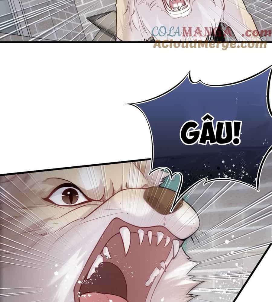 Anh Ấy Chưa Từng Sa Ngã - Chương 78 - ảnh 34