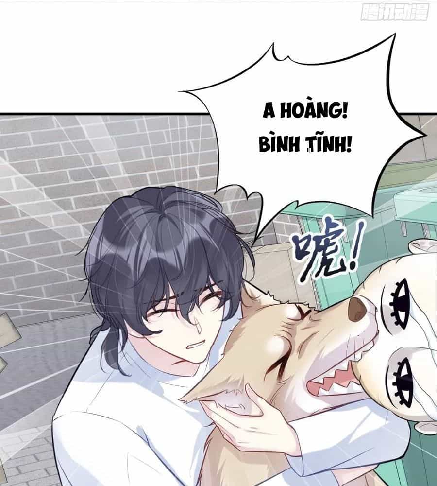 Anh Ấy Chưa Từng Sa Ngã - Chương 78 - ảnh 41