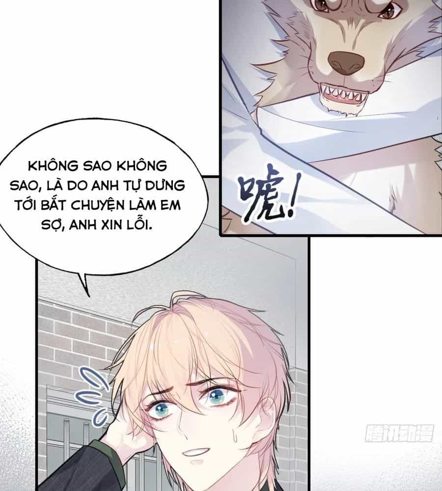 Anh Ấy Chưa Từng Sa Ngã - Chương 78 - ảnh 44