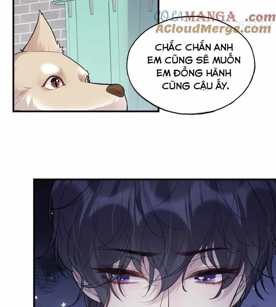 Anh Ấy Chưa Từng Sa Ngã - Chương 79 - ảnh 21