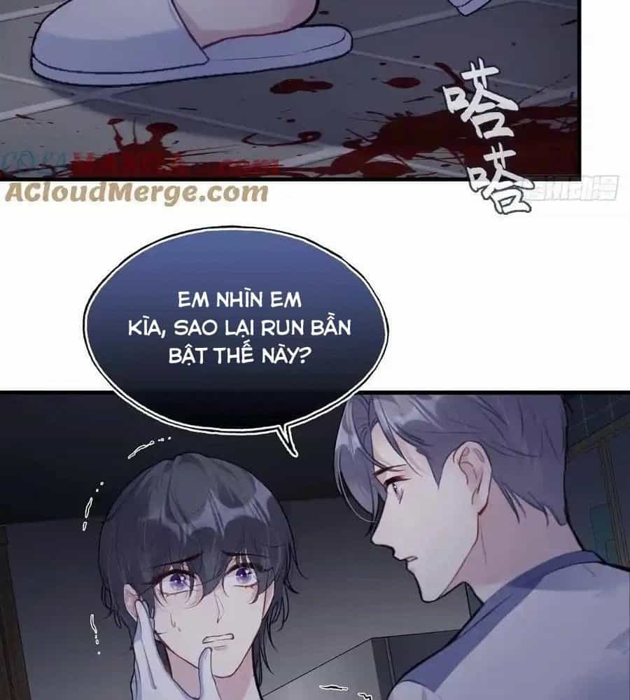 Anh Ấy Chưa Từng Sa Ngã - Chương 81 - ảnh 37