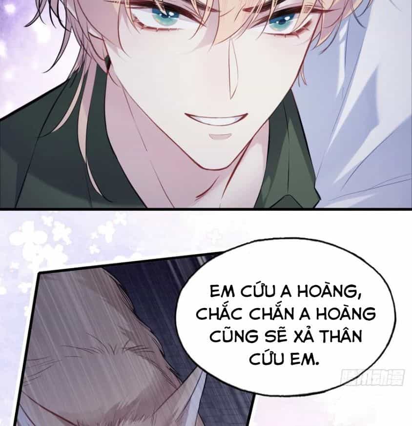 Anh Ấy Chưa Từng Sa Ngã - Chương 84 - ảnh 41