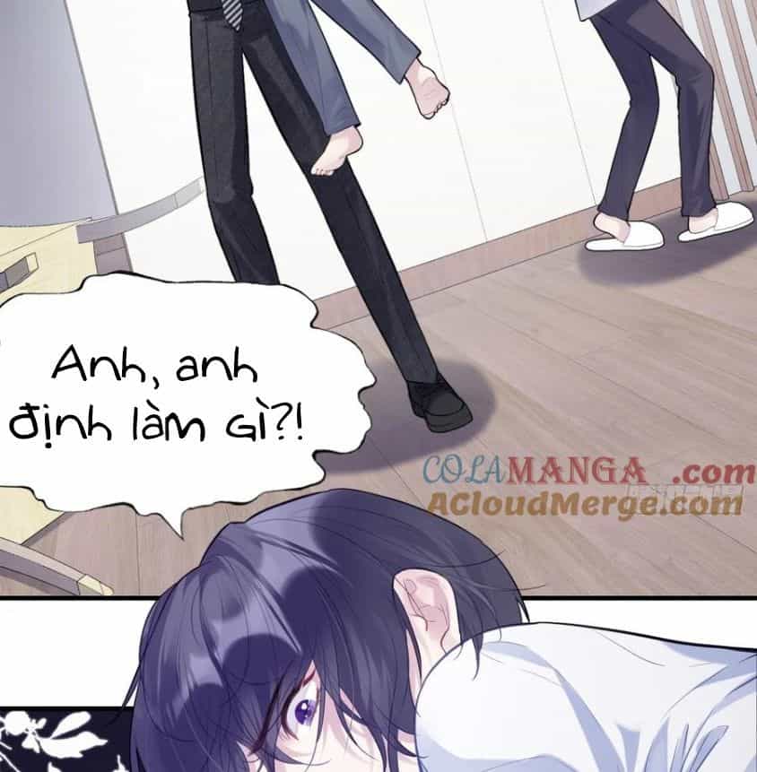 Anh Ấy Chưa Từng Sa Ngã - Chương 84 - ảnh 6