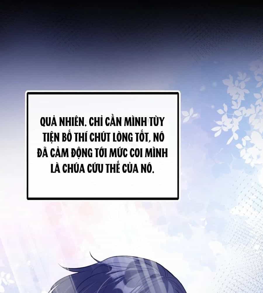 Anh Ấy Chưa Từng Sa Ngã - Chương 86 - ảnh 43