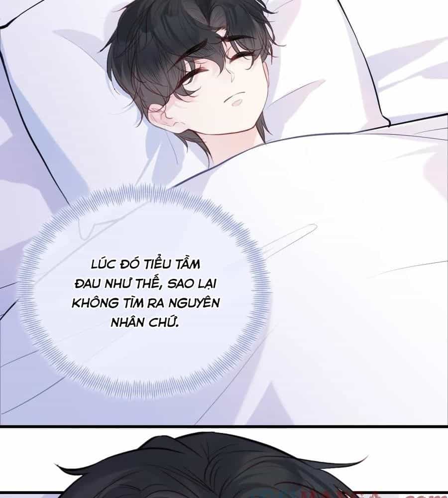Anh Ấy Chưa Từng Sa Ngã - Chương 91 - ảnh 22